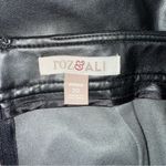 Roz & Ali Women’s size 20 pleather‎ skirt Photo 1