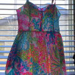 Lilly Pulitzer Lily Pulitzer Dress Lilly Floral Photo 0