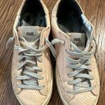 P448  John pink python sneakers size 38 Photo 0