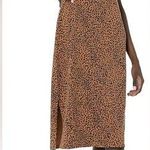 Daily Ritual Lived Photo 0