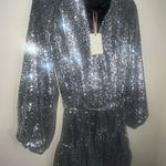 Alex Marie  Shimmering Silver sequin dress 10 Photo 0