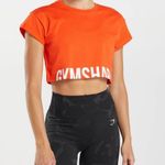 Gymshark Fraction Crop Top Photo 0