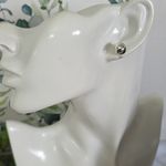 Boutique Glam Silver with Rhinstone Flower Choker Necklace with Earrings Set Photo 8