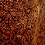 EXPRESS x Negin Mirsalehi Brown Snakeskin Print Faux Leather Midi Skirt Size 2 Photo 8