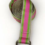 J.Crew Belt Preppy Fabric Pink Green Stripe Double D Ring Sz OSFA Photo 0