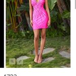 Ashley Lauren  Pink Dress Style 4723 Photo 2