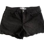 RSQ Black Mid-Rise Cutoff Fray Denim Jean Shorts Photo 0