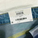 Style & Co  Shorts Photo 1