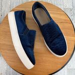 ALDO  Embossed Velvet Slip‎ On Sneakers Blue White Size 7.5 Photo 2