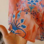 Violet+Claire  Size Small Vibrant Bright Sleeveless Tank Blouse Top Pink Blue Photo 7