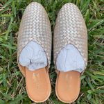 Seychelles New  Places to go mule silver (pewter) Photo 1