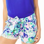 Lilly Pulitzer Kaden Shorts 4” Multi Beak Calm Carry On Bow Belt Women’s 10 Photo 13