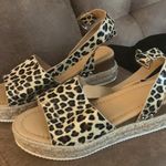 Cheetah Print Shoes Size 8.5 Photo 0