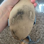 breckelle's Breckelle’s Blue Heels Photo 3