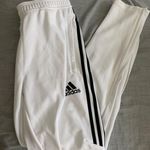 Adidas Black White Stripe Pants Photo 0