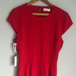 Aritzia NEW Babaton Hamptons midi Dress 6 Photo 4