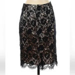Banana Republic Vintage  | Lace Skirt Black & Blush Pink Lining Size 4 Small S Photo 5