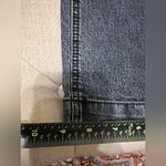 kim rogers  Blue Jeans- Size 10 Photo 7