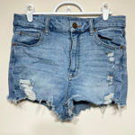 American Eagle  Curvy High Rise Shortie Shorts 8 Women Photo 0
