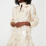 Tuckernuck Champagne Fil Coupe Palmerston Formal Mini Dress Size Large NWT Prep Tan Photo 8