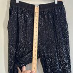 Ramy Brook Black Sequin Pants Pull On Style Size Medium M Pockets Party Event Photo 8