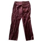 Apostrophe  Wine Red Velvet Pants Photo 3