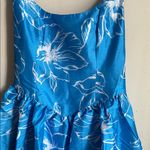 Hutch  Sleeveless Back-Bow Basque-Waist Mini Dress Photo 4