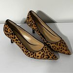 Neiman Marcus NM  Calf Hair Kitten Heel Pumps Photo 1