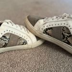 Steve Madden Studded Sneakers Photo 0