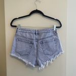 PacSun High Rise Festival Short Size 27 Photo 5