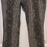 Mossimo Supply Co Women's Skinny Green Snakeskin Pants Size 15 Fit 6 28" Inseam‎ Photo 0