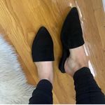 Steve Madden Black Suede Mules Photo 4