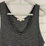 Madewell  Striped Scoopneck Knit Tank Dress Photo 5
