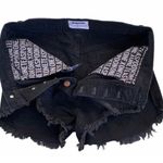 One Teaspoon ONE X  Grey Outlaws Jean Shorts Size  Photo 8