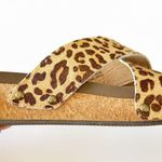 Boutique by Corkys Hazel Too Leopard Cheetah Wedge Doublestrap Slide Sandals 9 Brown Photo 1