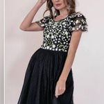 Jessakae Tulle Embroidered Clara Knee Length Dress Black Photo 0