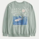 Hollister  Green Santa Monica Sweatshirt Photo 1