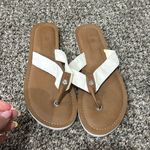 Tommy Bahama  Photo 0