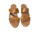 Baretraps Gigi Brown Slip On Platform Sandals Size 8M Neutral Timeless Casual Photo 1