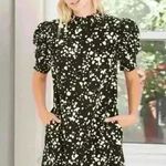 Who What Wear NWT  Ruffle High Neck Short Sleeve Black White Shift Dress Size S Photo 0