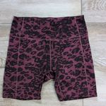 Nicole Miller  Sport Biker Shorts | Leopard Print High-Waisted Spandex Shorts Photo 0