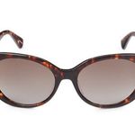 Kate Spade // Everett Cat Eye Sunglasses Dark Brown Havana / Gradient Lens Photo 4