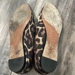 Veronica Beard  Leopard Print loafers Photo 5