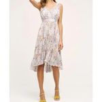 Anthropologie Plenty dresses by Tracy Reese Floral Midi Dress Size 4 Pleated Green Photo 12