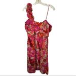 Olivia Matthews  Dress nwt Photo 4