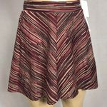 Joe B Skirt Vintage Striped Mini Skirt  Photo 0