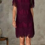 Sundance Northern Sky Dress Lace Short Sleeve Maroon Burgundy Scallop Womens XXL Purple Photo 0