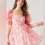 Francesca’s Claudia Floral Organza Babydoll Dress mini puff sleeve selkie pastel Red Size XS Photo 0