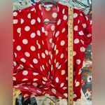 XIX PALMS 2 Red Polka Dot Tie Photo 9