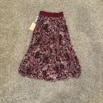 Wilfred NWT  Twirl Pleated Skirt | Size: XXS Photo 1